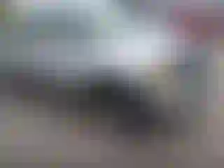Vehicle Image- 2003 Ford F-150