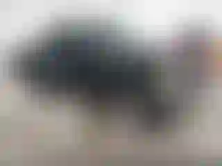 Vehicle Image- 2000 Ford F-150