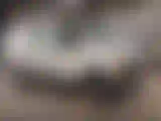 Vehicle Image- 2005 Ford E-Series