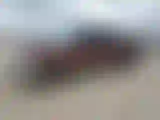 Vehicle Image- 2005 Ford F-250