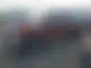 Vehicle Image- 2008 Ford F-250