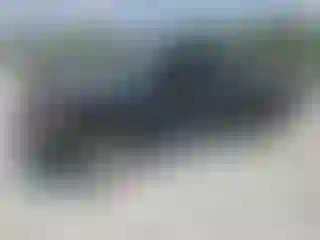 Vehicle Image- 2008 Ford F-250