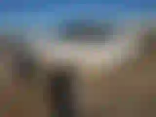 Vehicle Image- 2007 Ford F-250