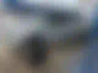 Vehicle Image- 2006 Ford F-250
