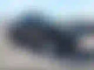Vehicle Image- 2005 Ford F-250