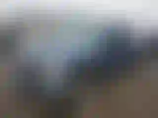 Vehicle Image- 2006 Ford F-250