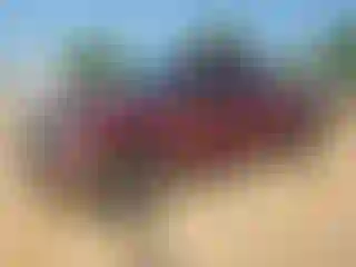 Vehicle Image- 2006 Ford F-250