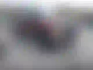 Vehicle Image- 2007 Ford F-250