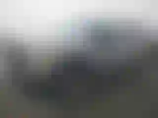 Vehicle Image- 2008 Ford F-250