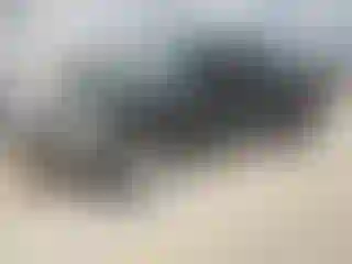 Vehicle Image- 2008 Ford F-250
