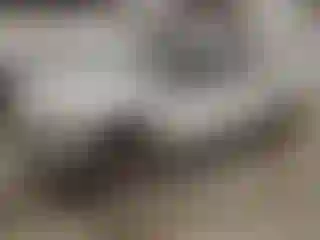 Vehicle Image- 2008 Ford F-250