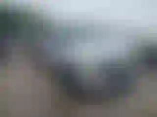 Vehicle Image- 2008 Ford F-250