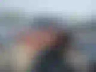 Vehicle Image- 2008 Ford F-250