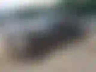 Vehicle Image- 2008 Ford F-250