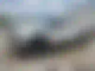 Vehicle Image- 2010 Ford F-250
