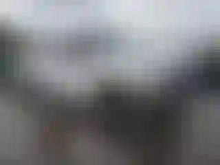 Vehicle Image- 2010 Ford F-250