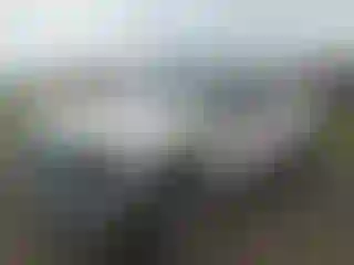 Vehicle Image- 2010 Ford F-250