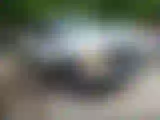 Vehicle Image- 2000 Ford F-350