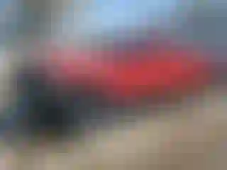 Vehicle Image- 1999 Ford F-350
