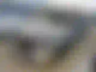 Vehicle Image- 2004 Ford F-350