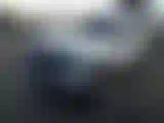 Vehicle Image- 2005 Ford F-250