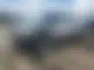 Vehicle Image- 2006 Ford F-250