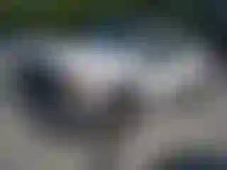 Vehicle Image- 2008 Ford F-250