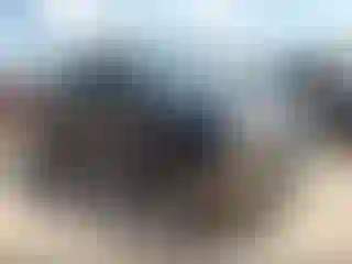 Vehicle Image- 2006 Ford F-250