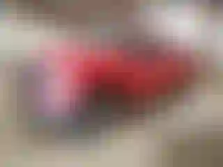 Vehicle Image- 2005 Ford F-250