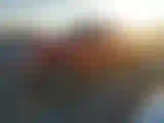 Vehicle Image- 2005 Ford F-250