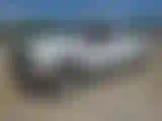 Vehicle Image- 2008 Ford F-250