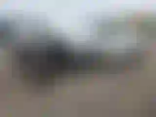 Vehicle Image- 2008 Ford F-250