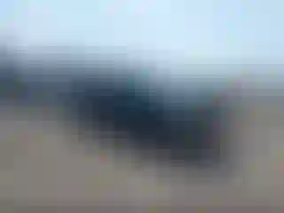Vehicle Image- 2010 Ford F-250