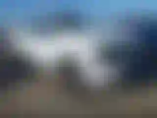 Vehicle Image- 2023 Ford F-150