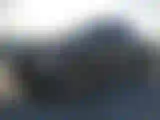 Vehicle Image- 2024 Ford F-150