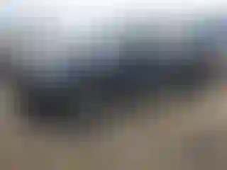 Vehicle Image- 2024 Ford F-150