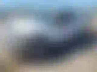 Vehicle Image- 2012 Ford F-150