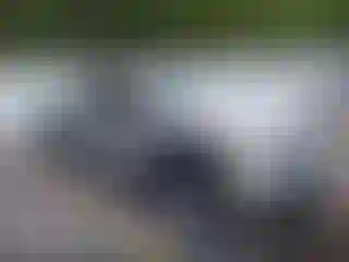 Vehicle Image- 2011 Ford F-150