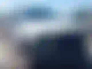 Vehicle Image- 2011 Ford F-150