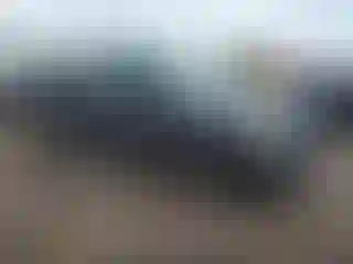 Vehicle Image- 2011 Ford F-150