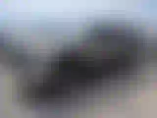 Vehicle Image- 2006 Ford F-350