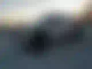 Vehicle Image- 2008 Ford F-350