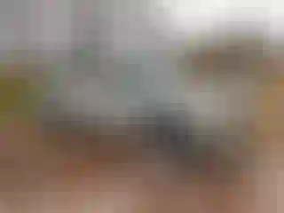 Vehicle Image- 2008 Ford F-350