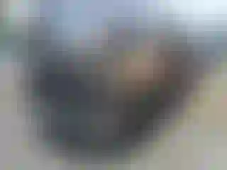 Vehicle Image- 2008 Ford F-350