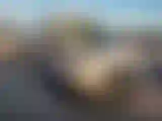 Vehicle Image- 2019 Ford Transit