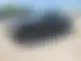 Vehicle Image- 1999 Ford Ranger