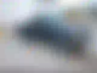 Vehicle Image- 2000 Ford Ranger