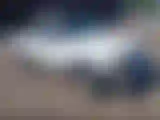 Vehicle Image- 1999 Ford Ranger