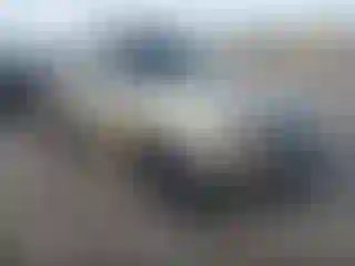 Vehicle Image- 2000 Ford Ranger