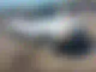 Vehicle Image- 2003 Ford Ranger